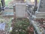 image of grave number 779085
